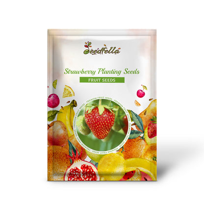 Strawberry Planting Seeds for Lush Garden Fruits - Easy to Grow