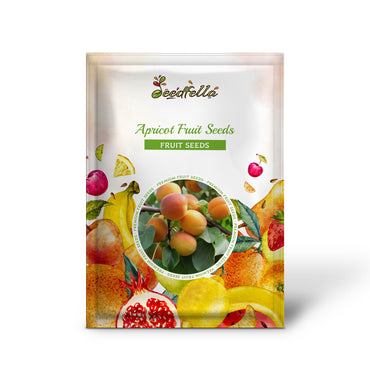 Apricot Fruit Seeds for Planting Grow Your Own Sweet Apricots