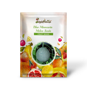 Blue Minnesota Melon Seeds for Planting