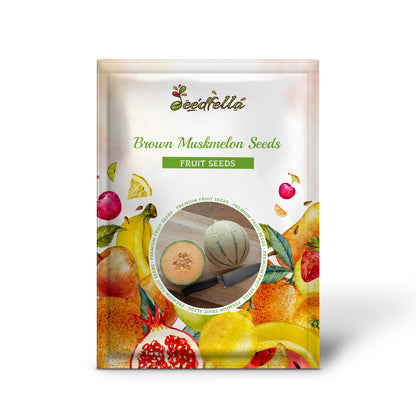 Brown Muskmelon Seeds for Planting