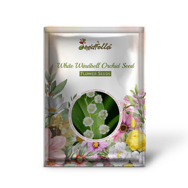 White Windbell Orchid Seed for Planting  Perfect for Cultivating Beautiful Blooms in Your Garden