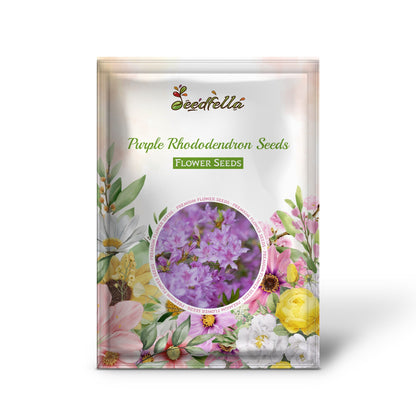Purple Rhododendron Seeds for Planting  Beautiful Perennial Blooms