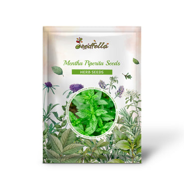 Mentha Piperita Seeds for Vegetable Planting