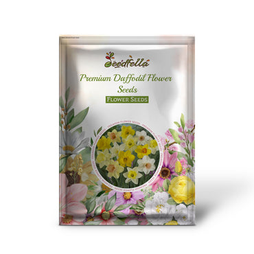 Premium Daffodil Flower Seeds - Easy-to-Grow Spring Blooms