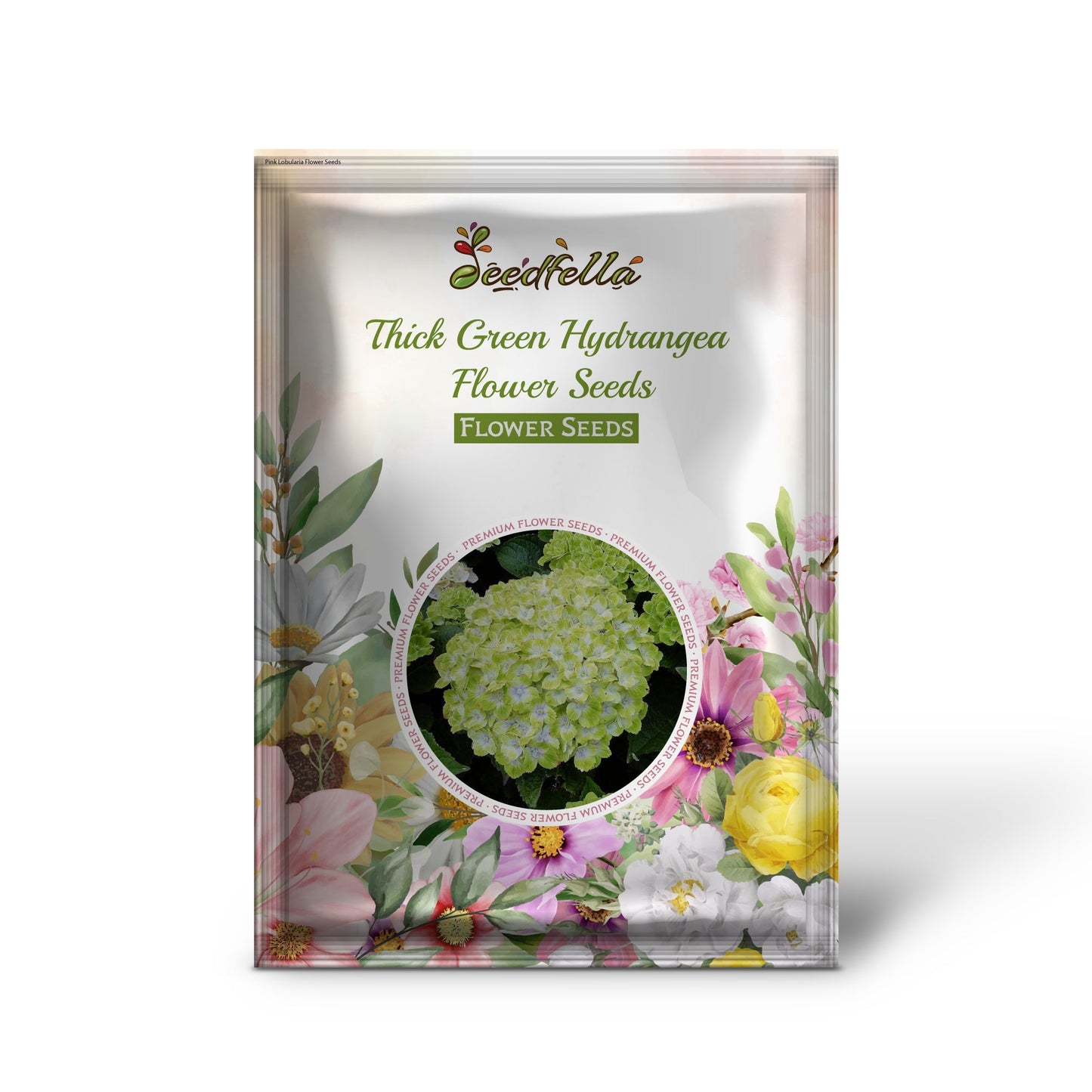 Thick Green Hydrangea Flower Seeds for Easy Planting