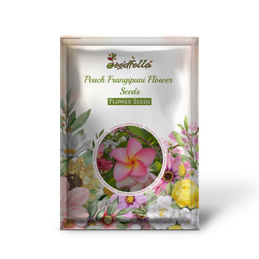 Peach Frangipani Flower Seeds for Planting