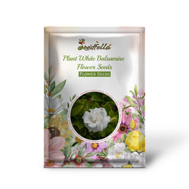 Plant White Balsamine Flower Seeds