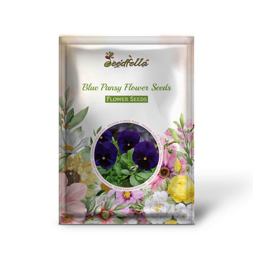 Blue Pansy Flower Seeds for Planting Guide