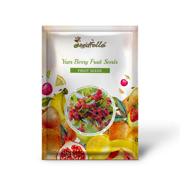 Yum Berry Fruit Seeds Planting - Seed for Thriving Berry Bushes in Your Garden