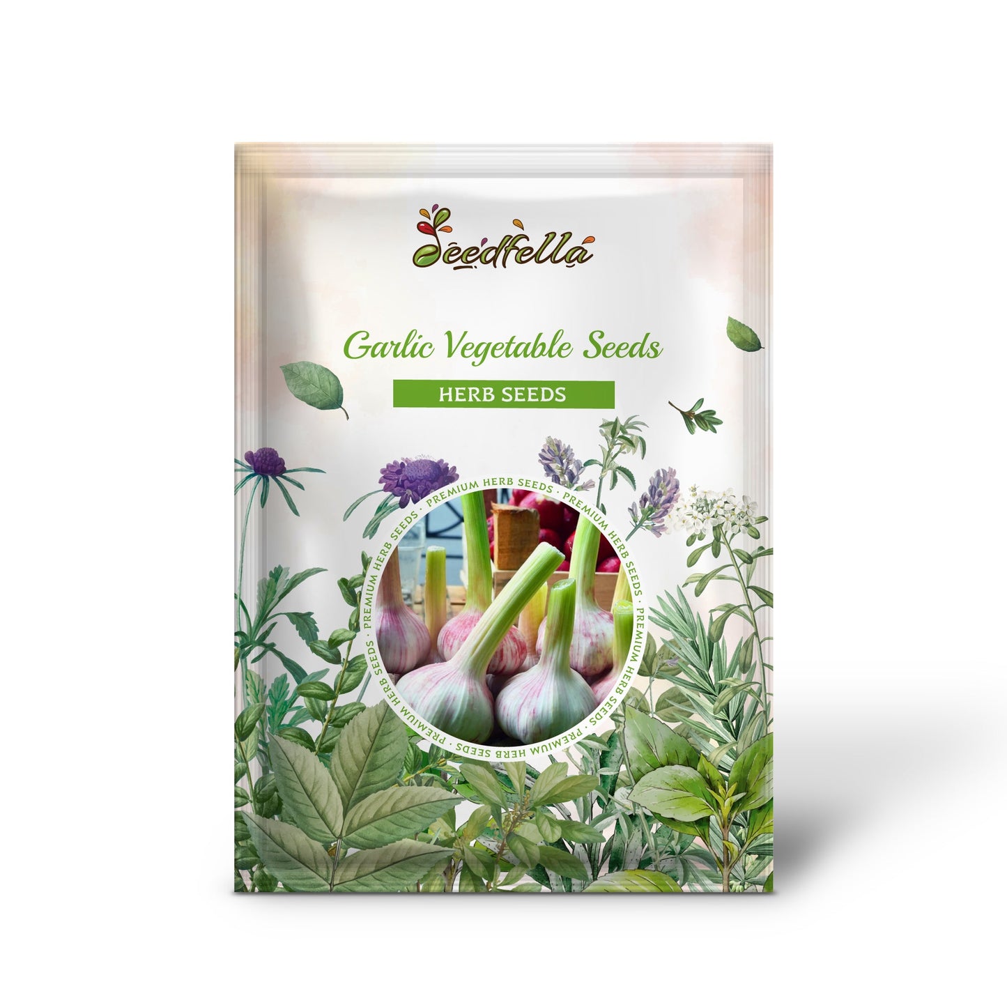 Garlic Vegetable Seeds for Planting: Add Exotic Charm to Your Garden