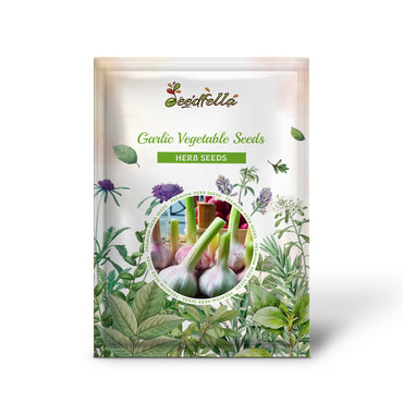 Garlic Vegetable Seeds for Planting: Add Exotic Charm to Your Garden