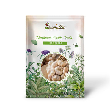 Nutritious Garlic Seeds for Growing Flavorful Vegetables