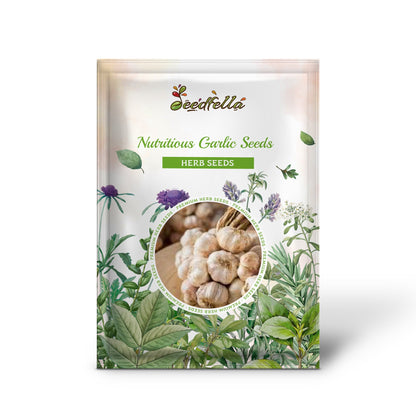 Nutritious Garlic Seeds for Growing Flavorful Vegetables
