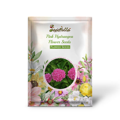 Pink Hydrangea Flower Seeds for Beautiful Garden Planting