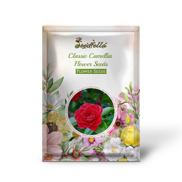 Classic Camellia Flower Seeds for Easy Planting