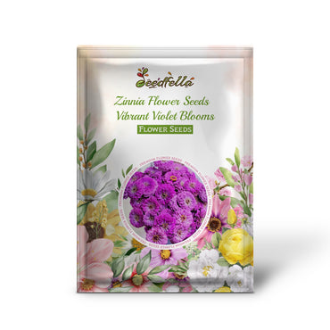 Zinnia Flower Seeds for Vibrant Violet Blooms - Seed for a Stunning Addition to Your Garden