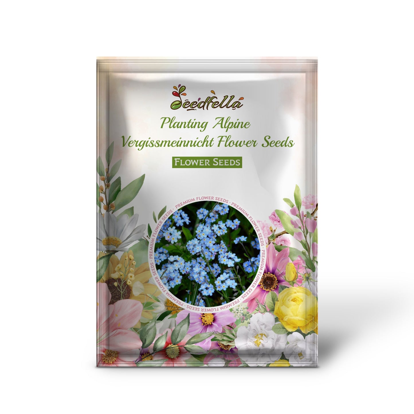 Planting Alpine Vergissmeinnicht Flower Seeds