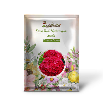 Deep Red Hydrangea Seeds for Easy Planting