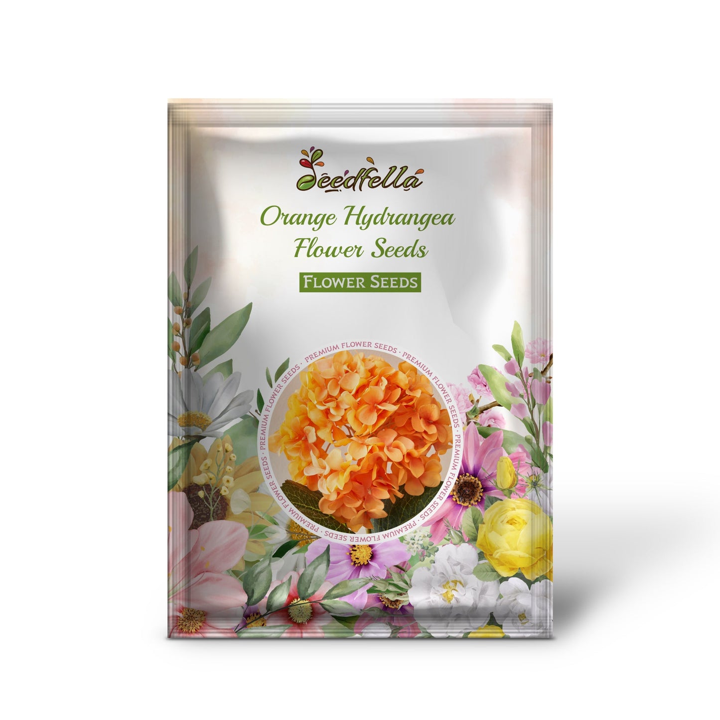 Orange Hydrangea Flower Seeds Planting