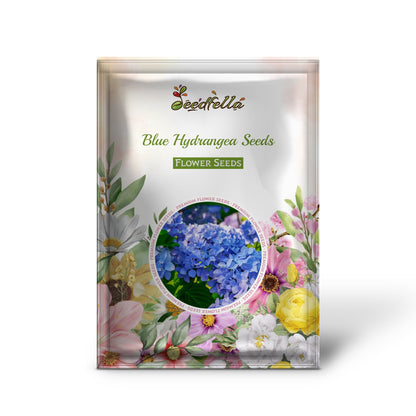 Blue Hydrangea Seeds - Essential Planting Guide