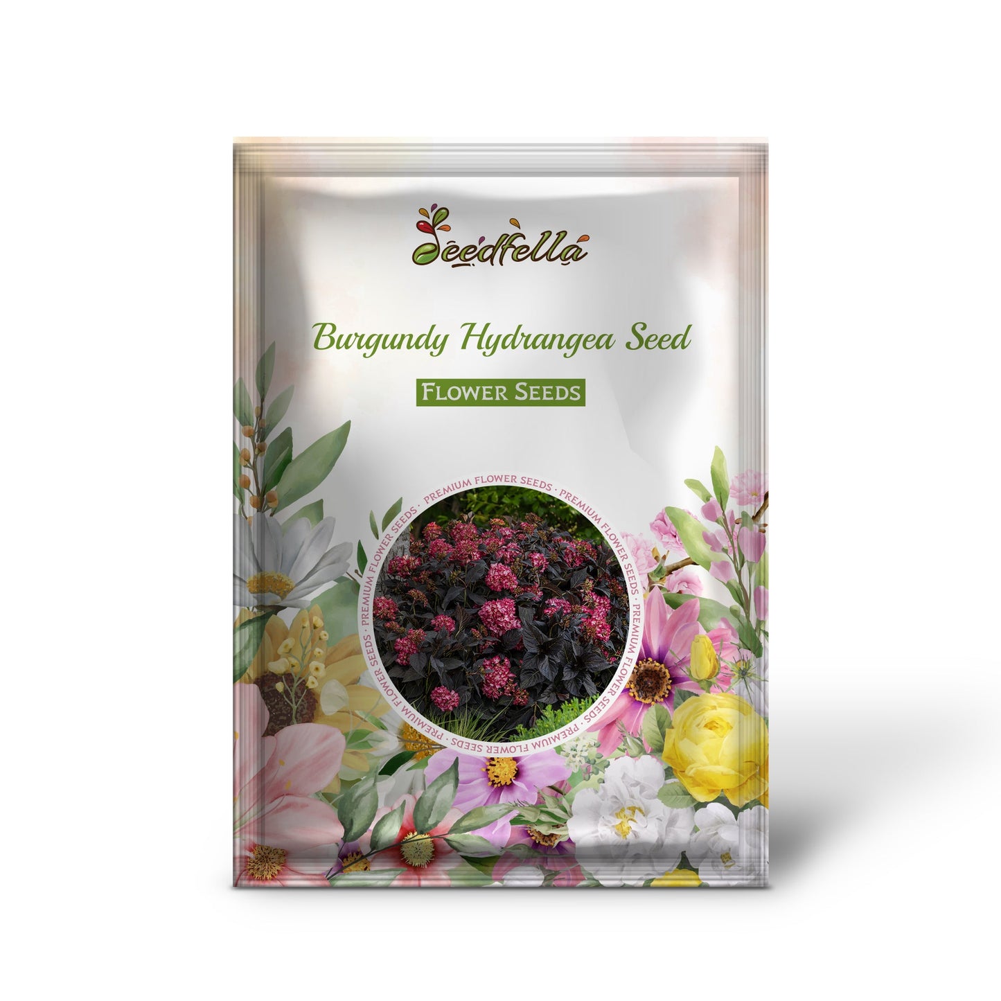Burgundy Hydrangea Flowering Seeds for Planting and Gardening