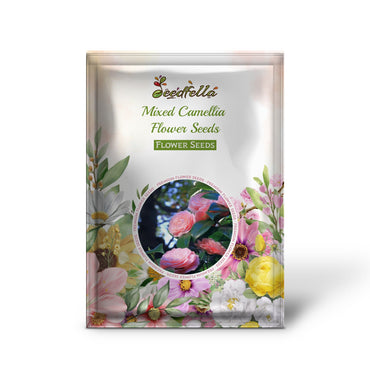 Mixed Camellia Flower Seeds Planting for Garden Enthusiasts