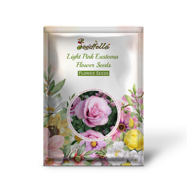 Light Pink Eustoma Flower Seeds for Easy Planting