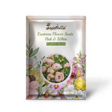 Eustoma Flower Seeds - Pink & White: Your Complete Planting Guide
