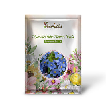 Myosotis Blue Flower Seeds for Planting and Growth