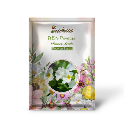 White Primrose Flower Seeds - Essential Planting Supplies