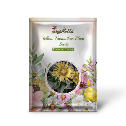 Yellow Nananthus Plant Seeds Planting