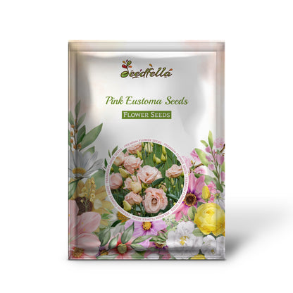Pink Eustoma Seeds - Planting Made Simple