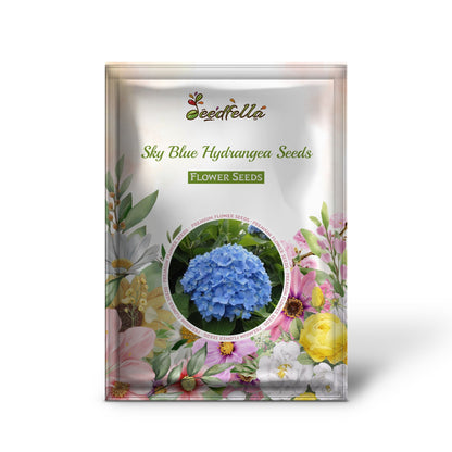 Sky Blue Hydrangea Seeds for Vibrant Flower Planting