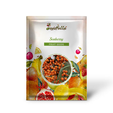 Sanddorn (Sanddorn) Elaeagnus Hippophae rhamnoides Orangenbeere Fruchtstrauch Samen