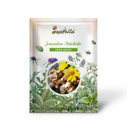 Jerusalem Artichoke (Sunchoke) Helianthus Tuberosus Yellow Sunflower Root Vegetable Seeds