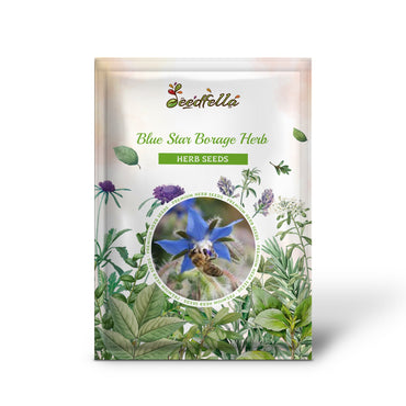 Blue Star Borage Herb (Borago Officinalis) Flower Seeds