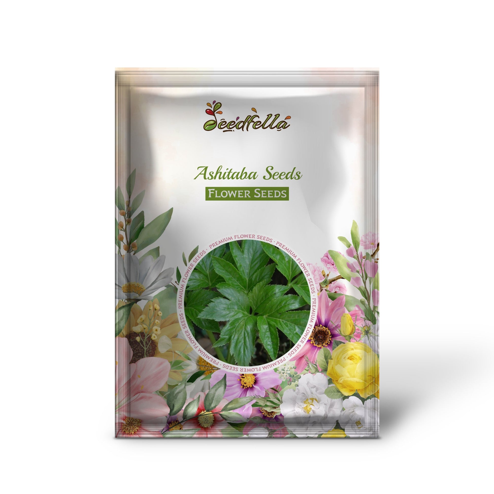 ashitaba plant seeds Ashitaba Herbal Planting Seeds For Planting Organic Garden Seeds – Pure Asia Seeds