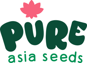 Pure Asia Seeds