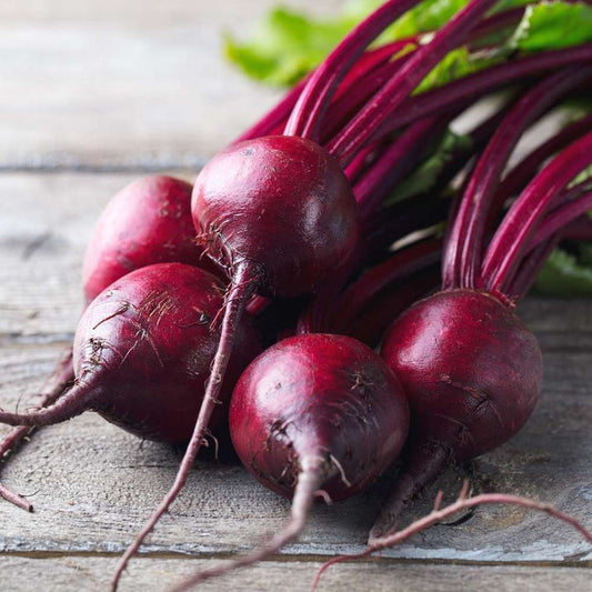 Beet Beta Vulgaris Vegetable Seeds
