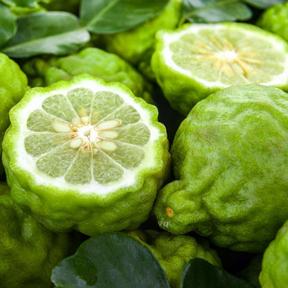 Bergamot Orange Seeds