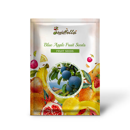 Blue Apple Fruit Seeds - Planting Guide for Success