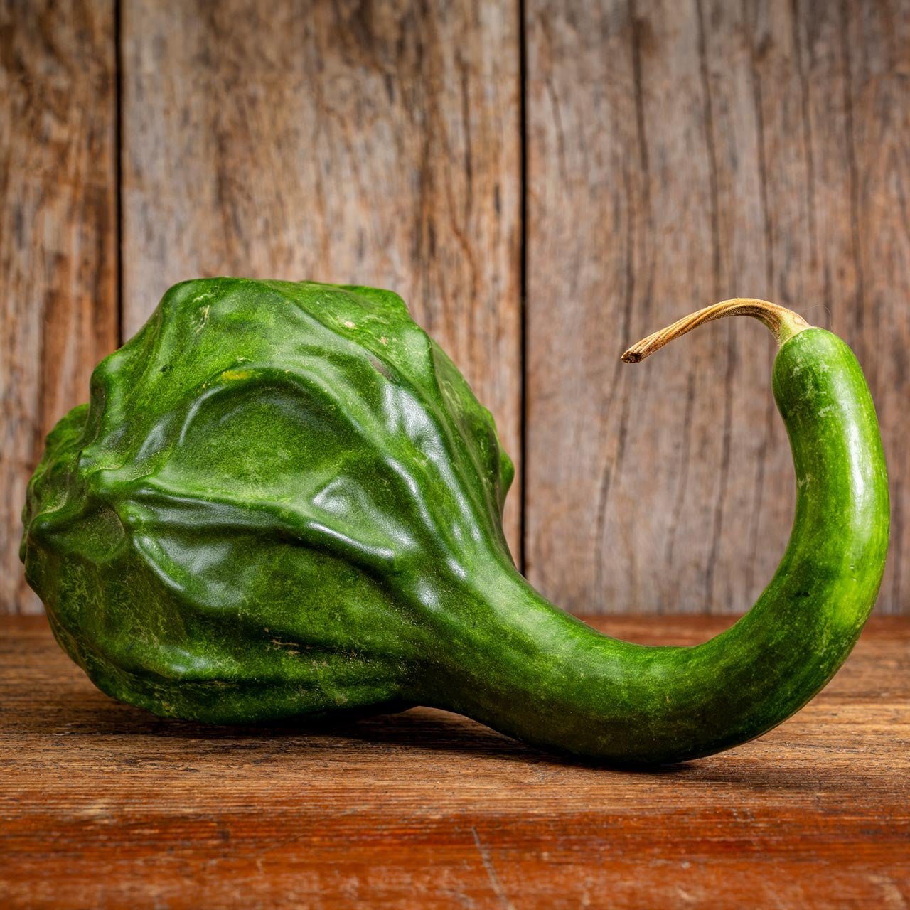 Caveman's Club Gourd Vegetable Seeds for Planting – Heirloom, Non-GMO, Unique Gourd