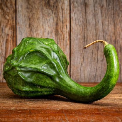 Caveman's Club Gourd Vegetable Seeds for Planting – Heirloom, Non-GMO, Unique Gourd