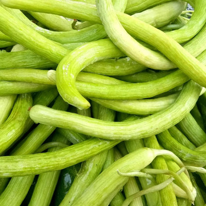Armenian Yard-Long Cucumber Seeds – Unique Heirloom