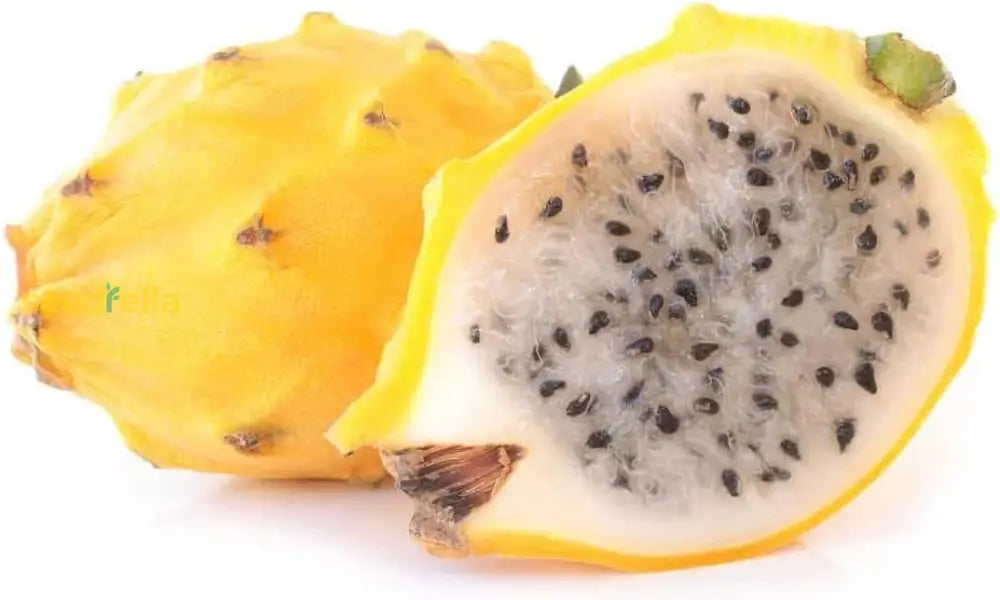 Dragon Fruit Seeds for Easy Planting