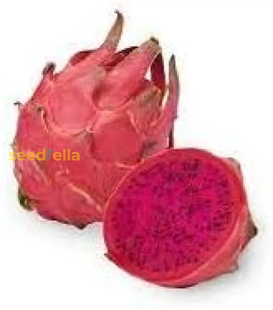Dragon Fruit Seeds For Easy Planting heirloom non-gmo organic garden seeds