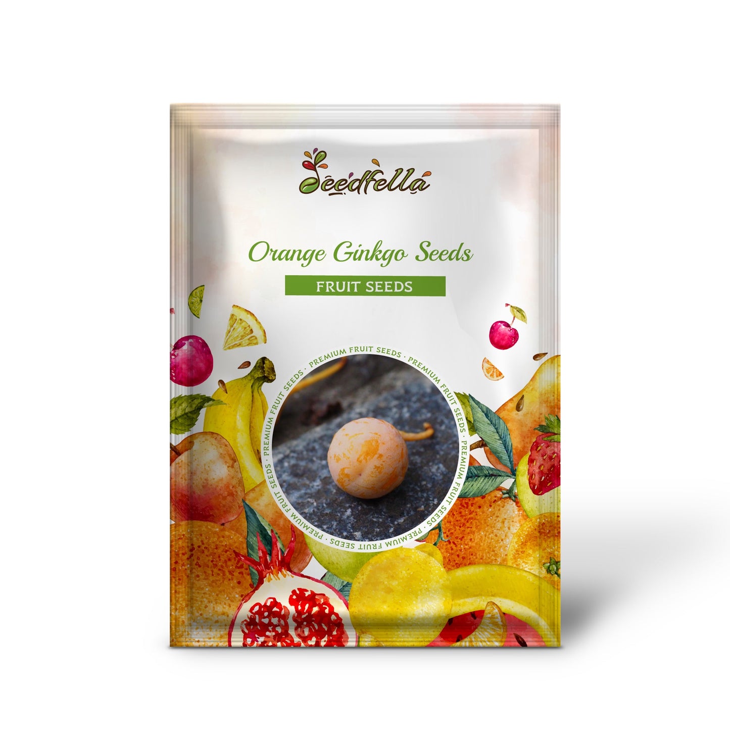 Orangene Ginkgosamen für einfaches Pflanzen