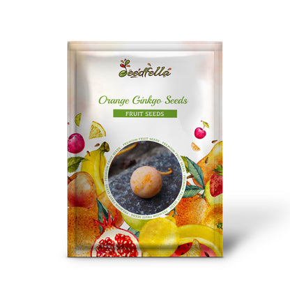 Orangene Ginkgosamen für einfaches Pflanzen