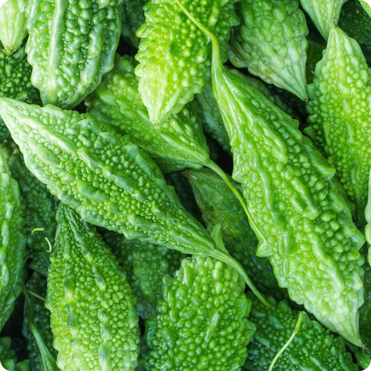 Bitter Melon Vegetable  Seeds