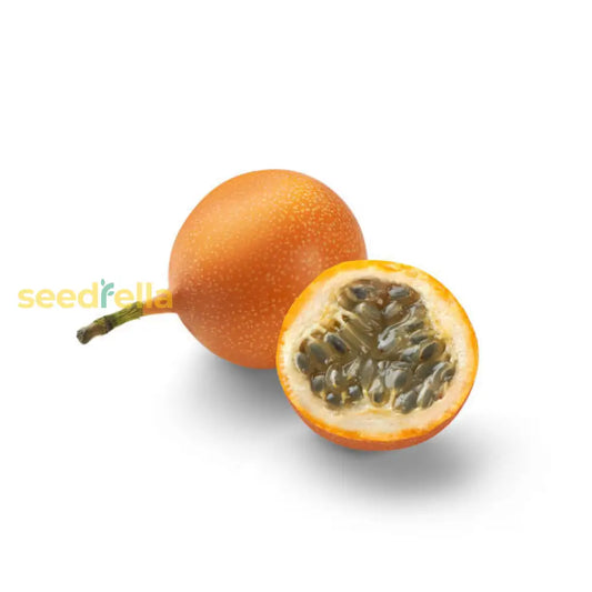Granadilla Fruit Seeds For Fast Growing Tropical Planting heirloom non-gmo organic garden seeds